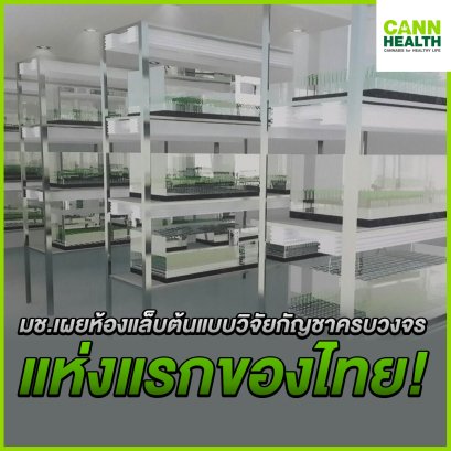 มช.เผยห้องแล็บต้นแบบวิจัยกัญชาครบวงจร แห่งแรกของไทย!