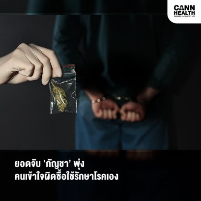 ยอดจับ ‘กัญชา’ พุ่ง คนเข้าใจผิดซื้อใช้รักษาโรคเอง