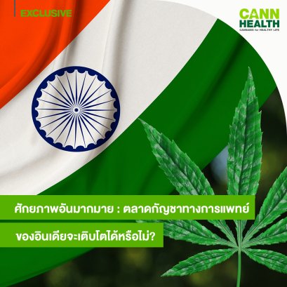 ศักยภาพอันมากมาย': ตลาดกัญชาทางการแพทย์ของอินเดียจะเติบโตได้หรือไม่?