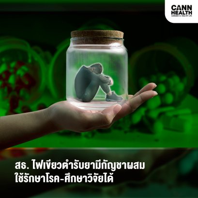 สธ.ไฟเขียวตำรับยามีกัญชาผสม ใช้รักษาโรค-ศึกษาวิจัยได้