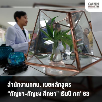 สำนักงานกศน. เผยหลักสูตร “กัญชา-กัญชง ศึกษา” เริ่มปี กศ’63
