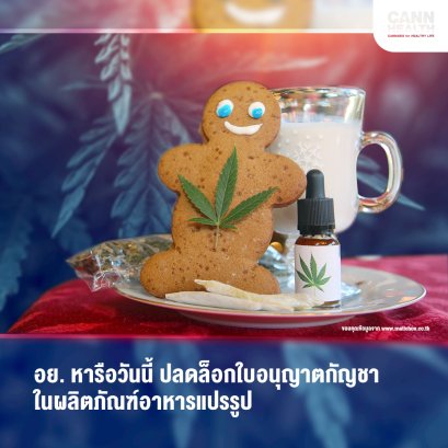 อย. หารือวันนี้ ปลดล็อกใบอนุญาตกัญชาในผลิตภัณฑ์อาหารแปรรูป