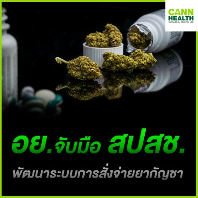 อย.จับมือ สปสช. พัฒนาระบบการสั่งจ่ายยากัญชา