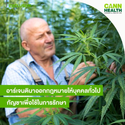 อาร์เจนตินาออกกฎหมายให้บุคคลทั่วไปปลูกกัญชาเพื่อใช้ในการรักษา