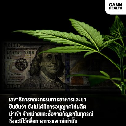 เลขาธิการคณะกรรมการอาหารและยา ยืนยันว่า ยังไม่ได้มีการอนุญาตให้ผลิต นำเข้า จำหน่ายและซื้อขายกัญชาในทุกรณี ซึ่งจะมีไว้เพื่อทางการแพทย์เท่านั้น