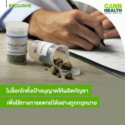 โมร็อกโกตั้งเป้าอนุญาตให้ผลิตกัญชาเพื่อใช้ทางการแพทย์ได้อย่างถูกกฎหมาย