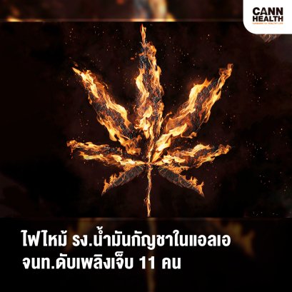 ไฟไหม้ รง.น้ำมันกัญชาในแอลเอ จนท.ดับเพลิงเจ็บ 11 คน