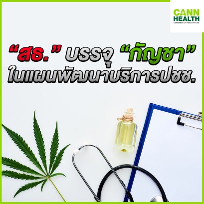 “สธ.” บรรจุ “กัญชา” ในแผนพัฒนาบริการปชช.