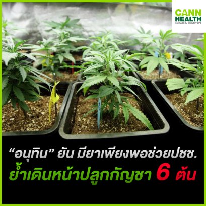 “อนุทิน” ยันมียาเพียงพอช่วยปชช. ย้ำเดินหน้าปลูกกัญชา6ต้น