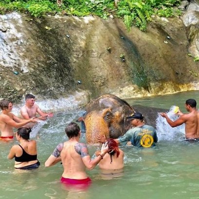 A006 : Half Day Shower with Elephant