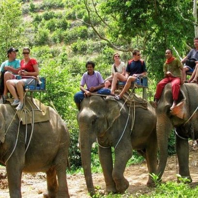 A008 : Half Day Elephant trekking and ATV