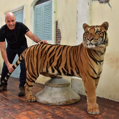 A005 : Half Day Tiger Kingdom and ATV