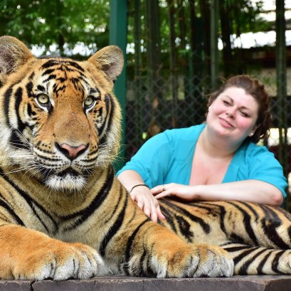 A004 : Half Day Tiger Kingdom and Elephant Trekking