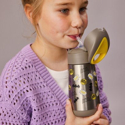 Bbox - Insulated Drink Bottle 350ml. (Disney &amp; Warner Bros.)