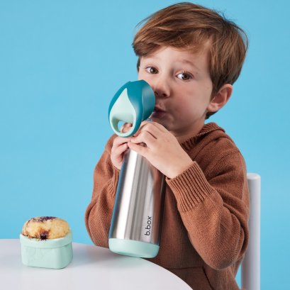 Bbox - Insulated Drink Bottle 550ml.