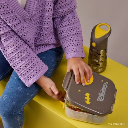 Bbox - Mini Lunch Box (Disney &amp; Warner Bros.)