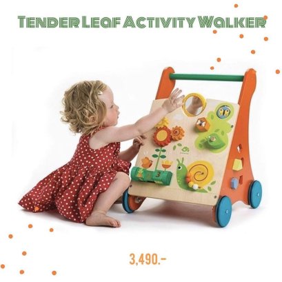 Tender Leaf - Baby Activity Walker