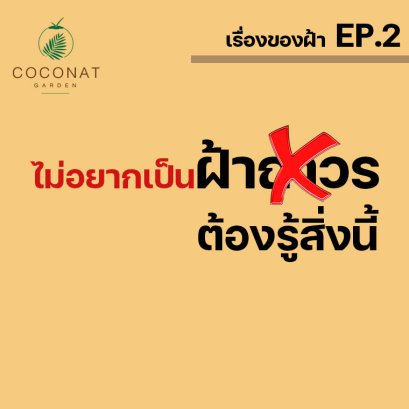 ไม่อยากเป็นฝ้าถาวร ต้องรู้สิ่งนี้