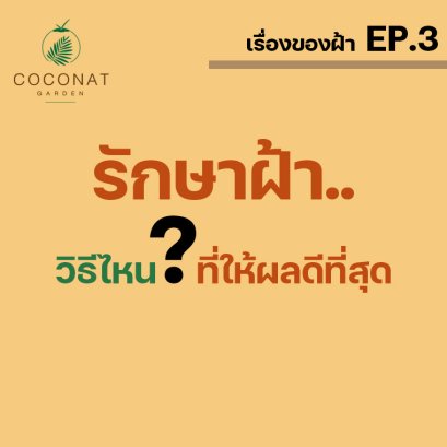 การรักษาฝ้าที่เห็นผลดีที่สุด