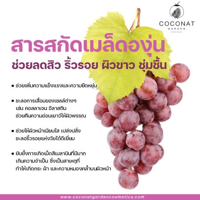 สารสกัดองุ่น