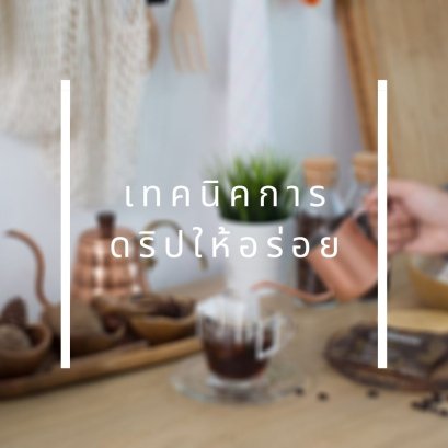 มุมชงสาระ: เทคนิคการชงกาแฟดริปให้หอมอร่อย