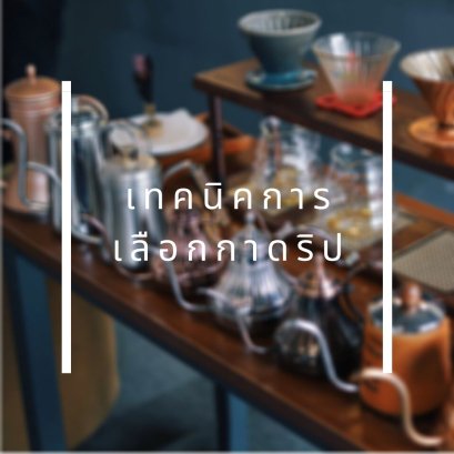 มุมชงสาระ: เทคนิคการเลือกกาดริป