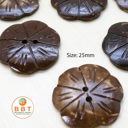 กระดุมกะลา CC2