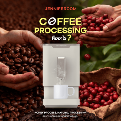 Coffee Processing คือ Cover