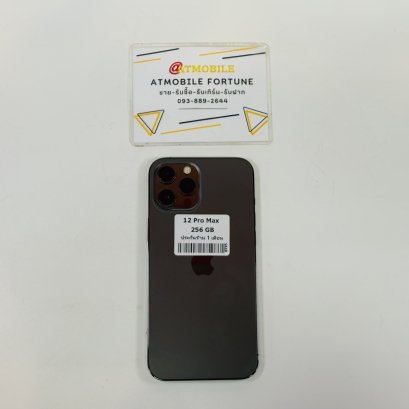 iPhone 12 Pro Max 256GB (i0939)