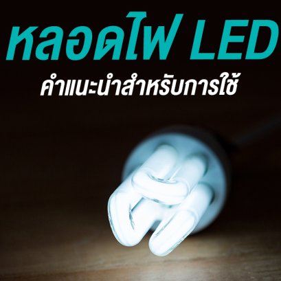 หลอดไฟ LED คำแนะนำสำหรับการใช้