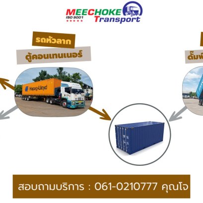 Semi Trailer Container and Semi Trailer Dump Container