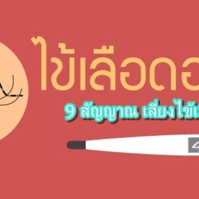 สัญญาณเตือน! ไข้เลือดออก