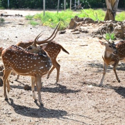 12 สถานที่ท่องเที่ยวโรงเรียนการบิน จังหวัดนครปฐม