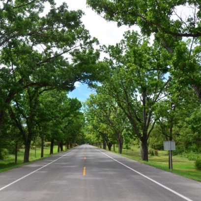 โรงเรียนการบิน