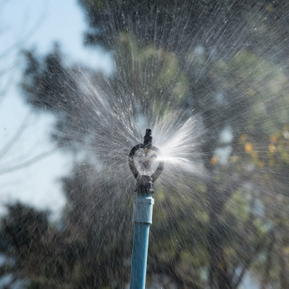 สปริงเกอร์