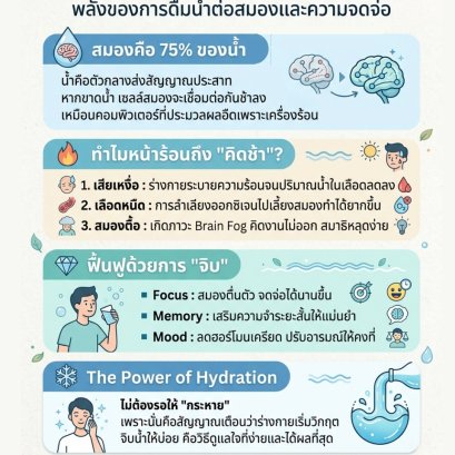 Water Therapy: พลังของการดื่มน้ำต่อสมองและความจดจ่อ