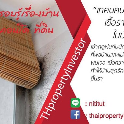 เทคนิคปราบเชื้อราร้ายในบ้าน