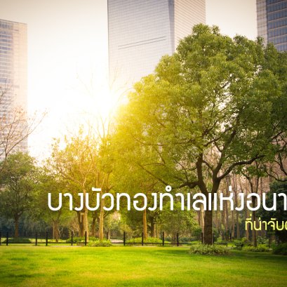 Bang Bua Thong 地区分析  观望Bang Bua Thong未来之地 