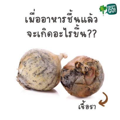  What occurs when food that is dry gets moistened?