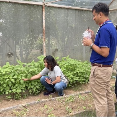 With assistance from the National Innovation Agency (NIA), Crispy Organic Spinach Snacks are prepared to join the markets in Germany and Taiwan.