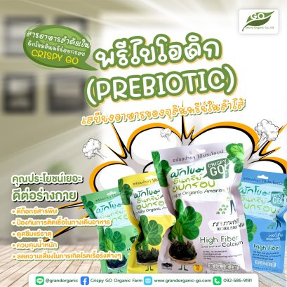  Prebiotic (Prebiotic)" .. food supplies of microorganisms in the intestines