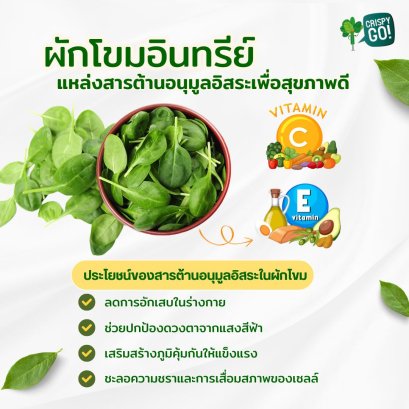 Organic Spinach: A Source of Antioxidants for Good Health
