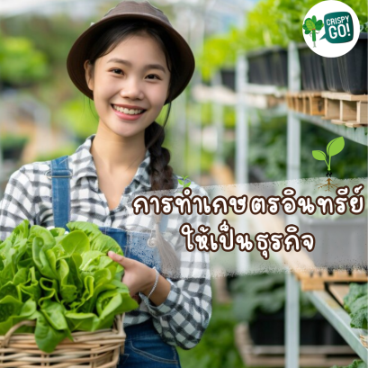 Turning organic farming into a business