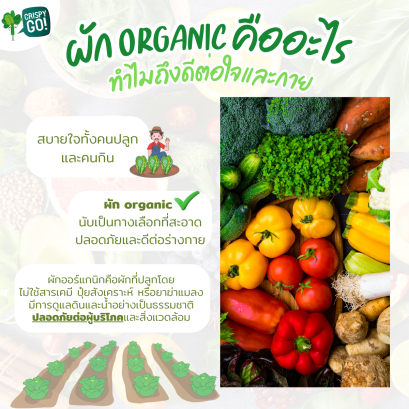 ผัก ORGANIC คืออะไร? ทำไมถึงดีต่อใจและกาย?