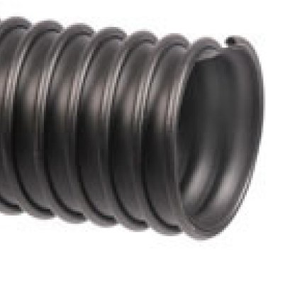 FOXISPECIAL-CARMEMORY