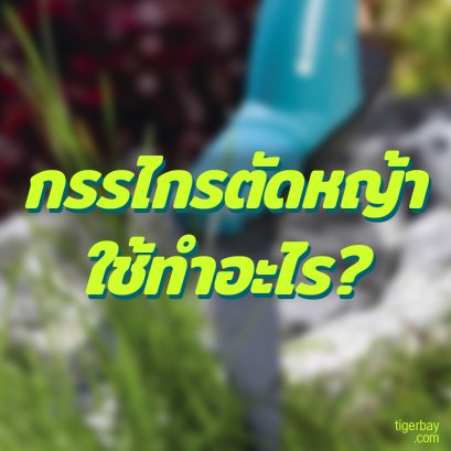 กรรไกรตัดหญ้าใช้ทำอะไร?