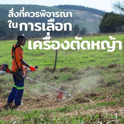 สิ่งที่พิจารณาในการเลือกเครื่องตัดหญ้า