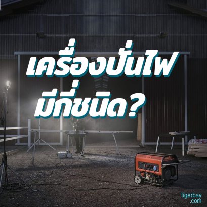 เครื่องปั่นไฟมีกี่ชนิด