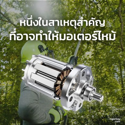 หนึ่งในสาเหตุสำคัญที่อาจทำให้มอเตอร์เครื่องตัดกิ่งสูงไร้สาย Greenworks ไหม้