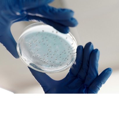 Ep.21 การทดสอบทางชีวภาพ